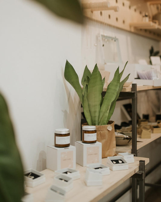 Your Local Design Shop - You’re not chasing new. You’re choosing lasting.