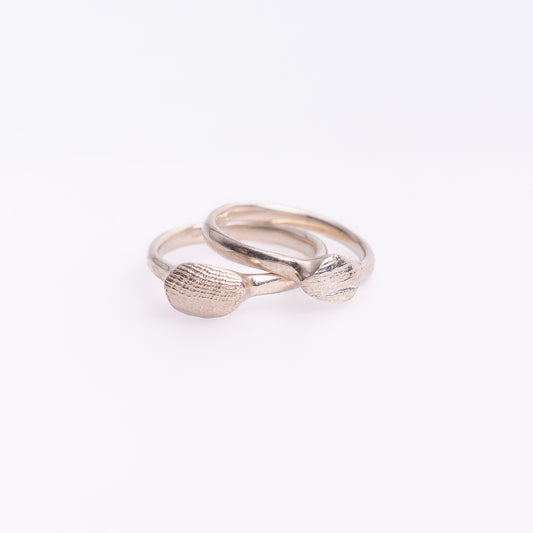 Seashell Small Signet Ring
