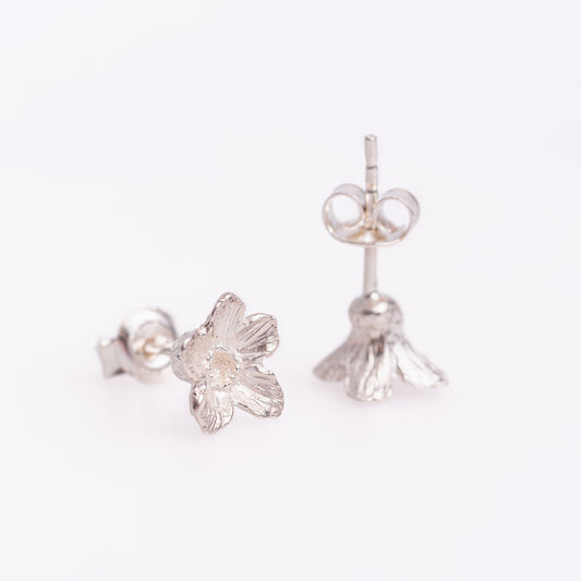 Forget-Me-Not Earrings