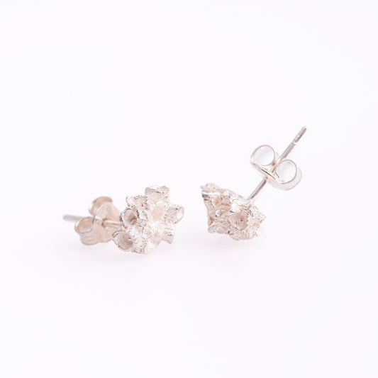 Coralized Mini Earrings
