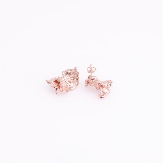 Rose Controlled Chaos Earrings